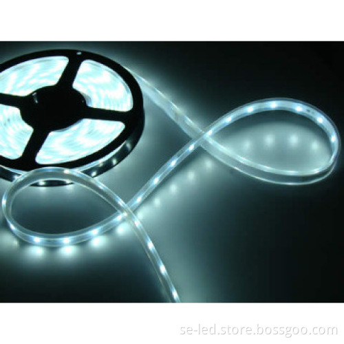 White 12V 3528SMD IP65 LED Reel